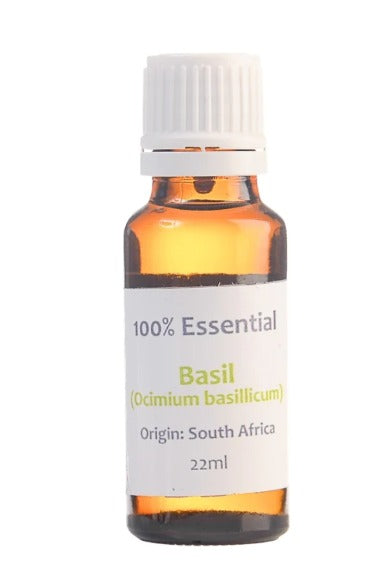 1Kg Ocimum Basilicum