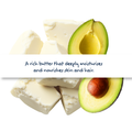 5Kg Raw/Refined Avocado Butter