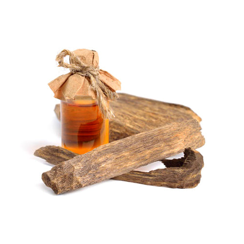 500ML Agarwood Fragrance Oil(Artelè)