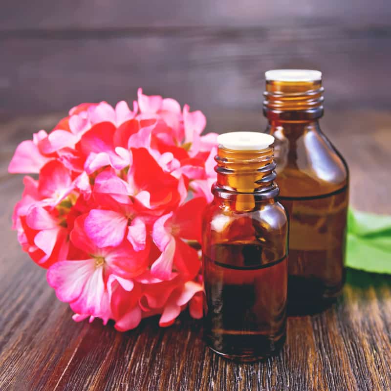 1Kg  Geranium  Oil