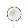 1Kg Coco-Caprylate/Caprate