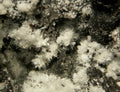 Wollastonite 45 Micron Incubex