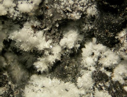 Wollastonite 45 Micron Incubex