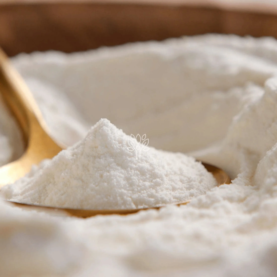 1Kg Hydrolyzed Collagen