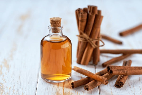 10Kg  Cinnamon Hydroglycolic 5% Liquid  Extract