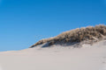 1 Ton Amber White Sand