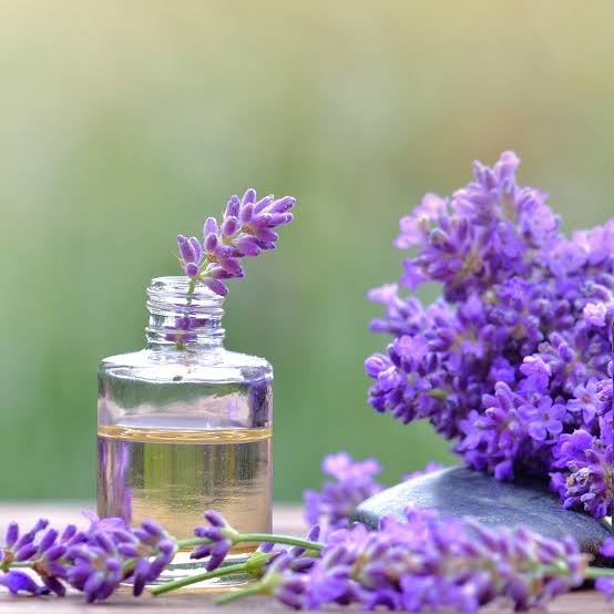 1Kg  Lavender Oil