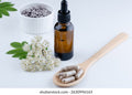 1Kg Elderflower Hydroglycolic 10% Liquid