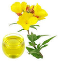 10Kg Oenothera Biennis