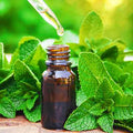 1Kg  Spearmint Oil