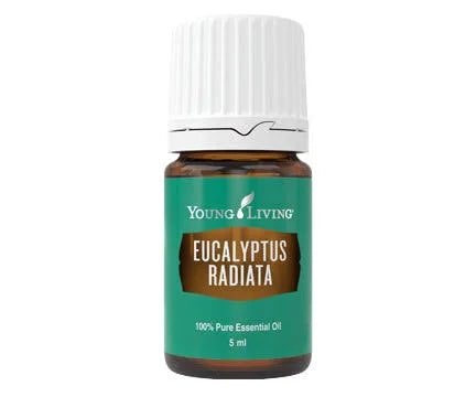 1Kg Eucalyptus Radiata