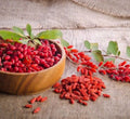 10Kg Lycium Barbarum