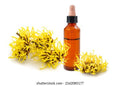 5Kg Hamamelis Virginiana