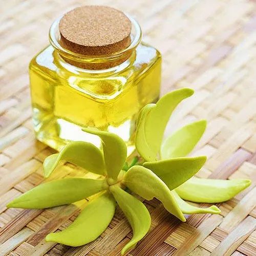 1Kg  Ylang Ylung Oil